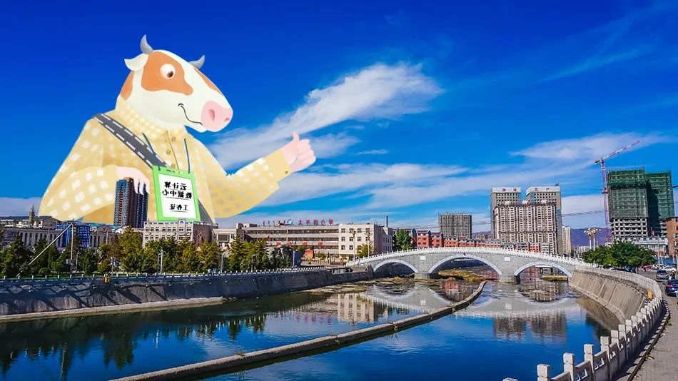 呼和浩特奶萌兽：足球摔跤样样行，体育课代表非他莫属丨Mr.Data