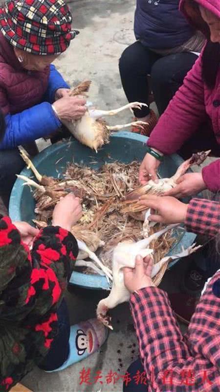 17口人吃了500斤大米被困,滞留在湖北的外省人什么时候放回