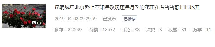 自媒体第一次发文,自媒体最后一次发文