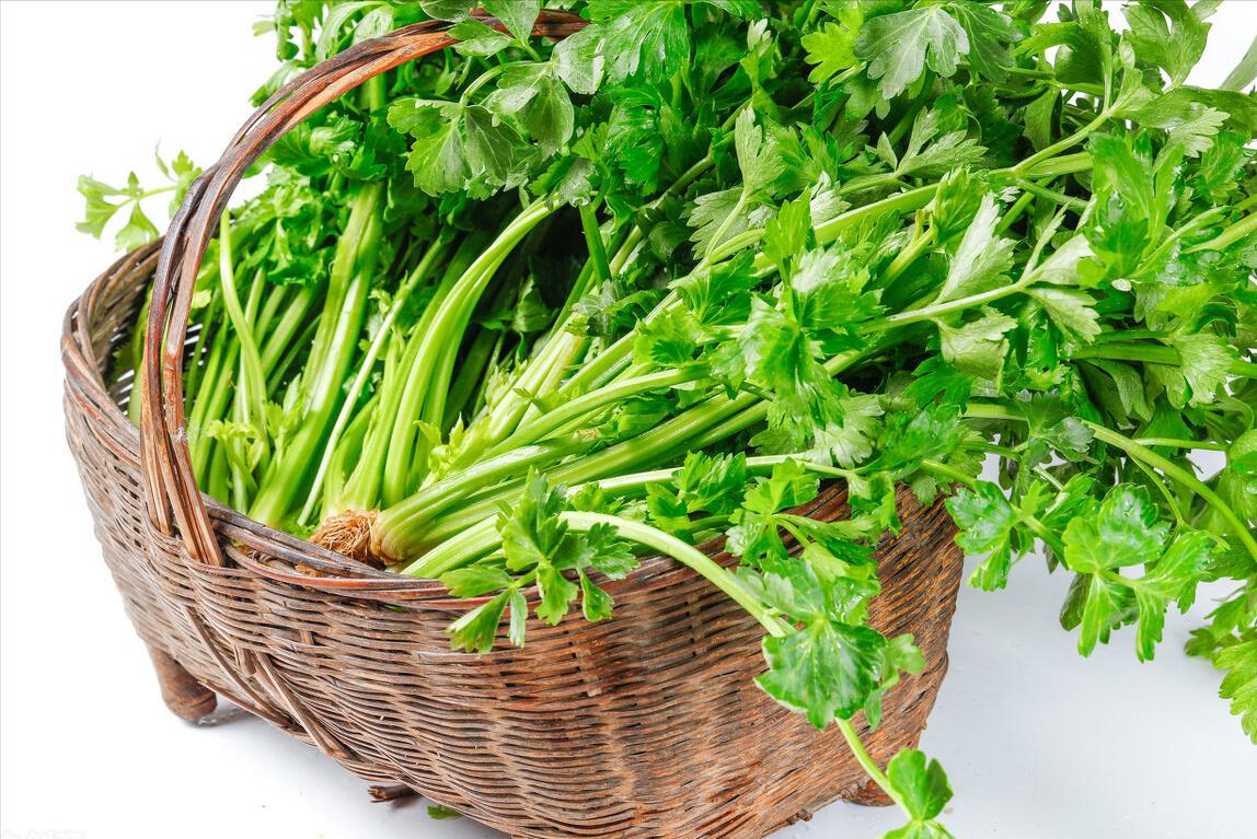 购买芹菜细梗好还是粗梗好,芹菜一般买多少合适