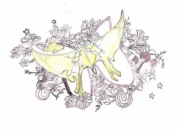 左手丹青，右手手术刀，985名校医学生笔记曝光！网友：这是学神级别的！