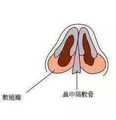 协和整形美容科专家,北京协和整形鼻综合