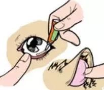 新手在家怎么帮猫咪洗澡,没有猫咪沐浴露怎么给猫洗澡