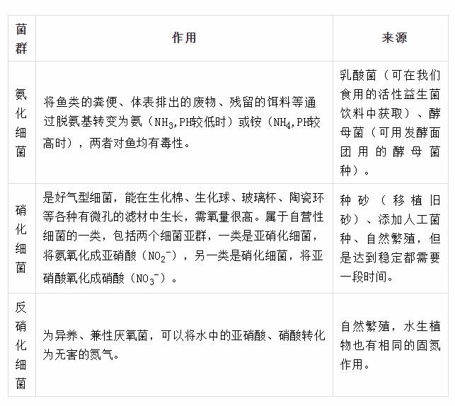 如何形成强大过滤系统,怎样建立过滤强大的生态鱼缸