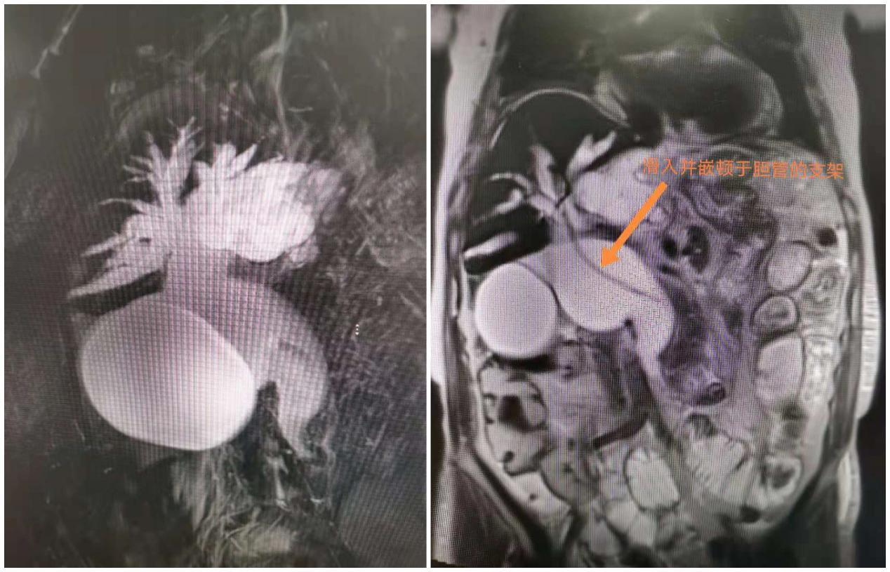 南大二附院红角洲分院具体位置,南大二附院红角洲分院优势