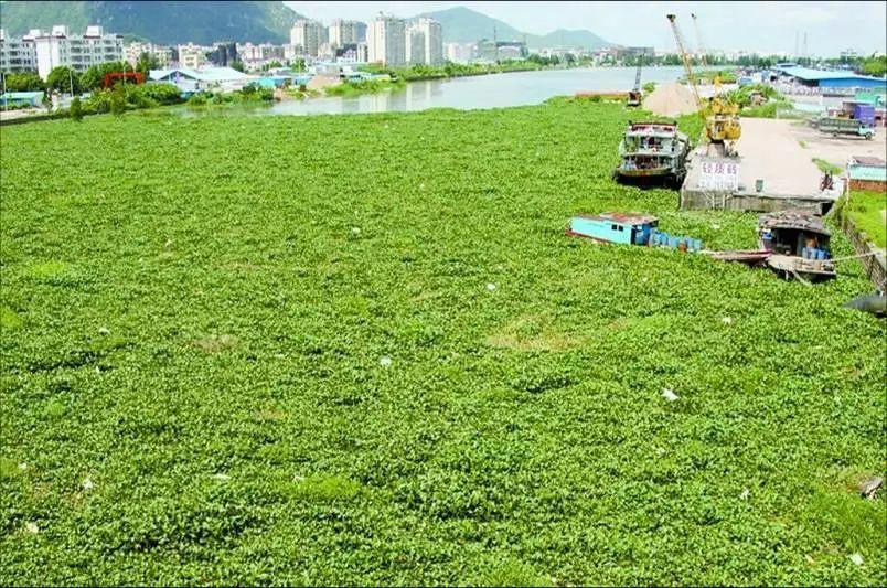 筑牢国门生物安全防线,国门生物安全当好国门卫士
