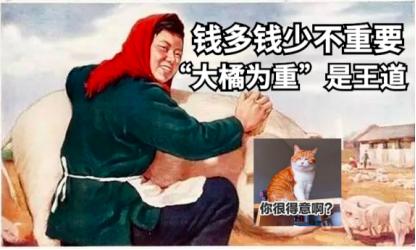 祺鑫养猫实录,穷人养猫实录