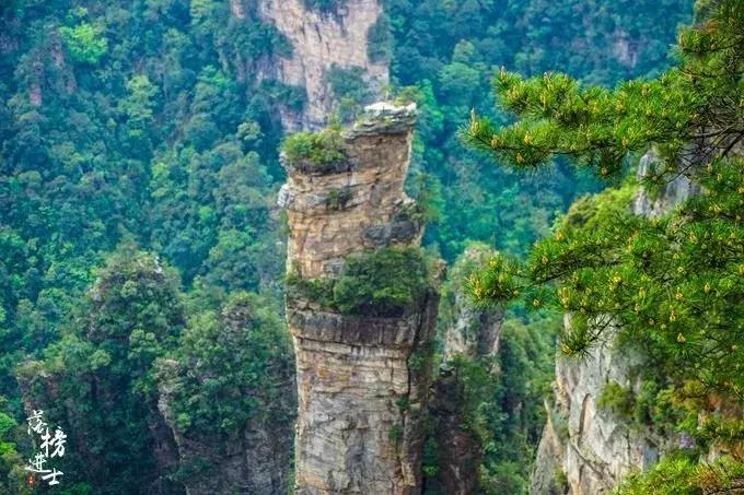 去张家界自助游攻略,张家界免门票自助游攻略图片真实