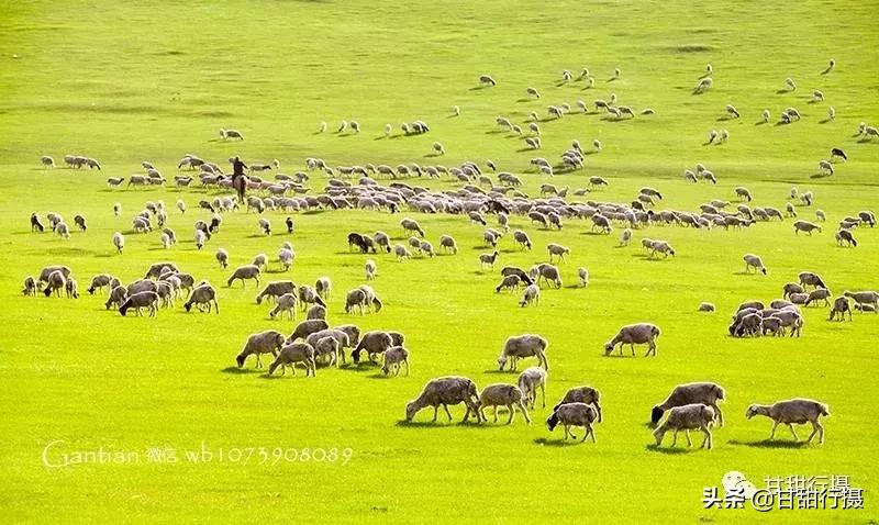 呼伦贝尔纯玩攻略,呼伦贝尔纯玩深度游