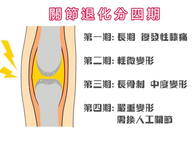 直立行走对人类有什么好处,直立行走对人类有影响吗