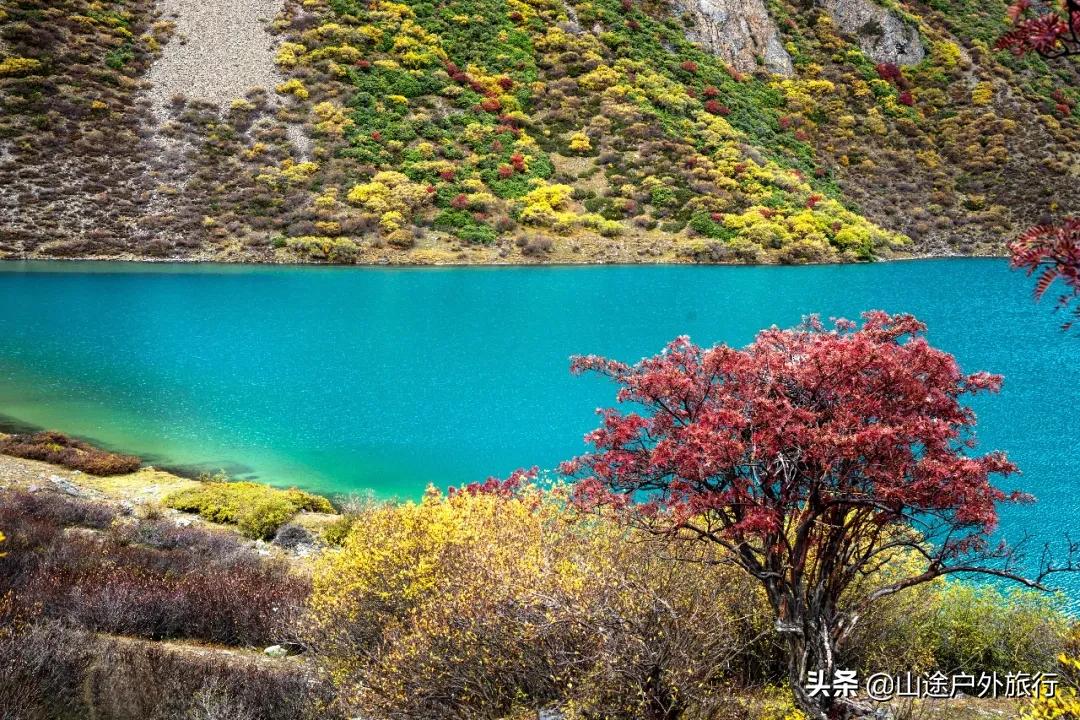 步步惊心的一天,步步惊心12剧情