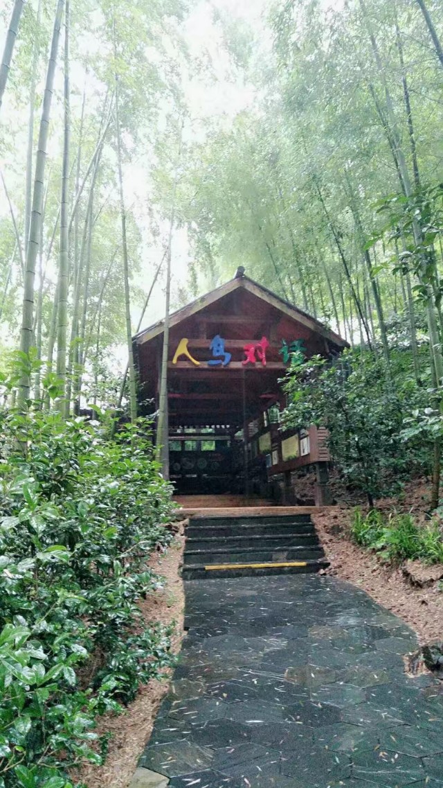 南山竹海和宜兴竹海哪个值得去,国家4a级景区多少个