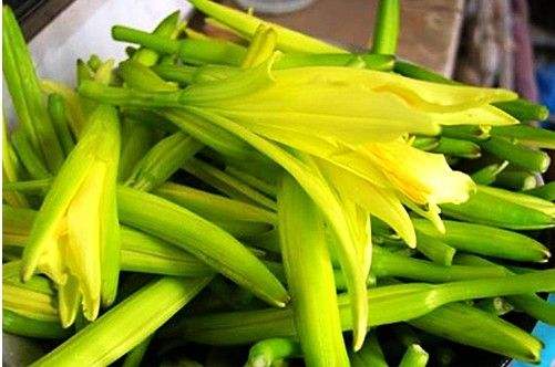 上等的山珍,上等山珍国宾菜