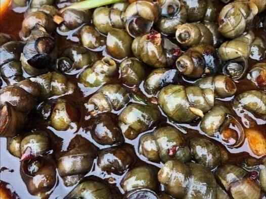 苏州人的春天从赏梅开始,苏州人的春天从青团开始