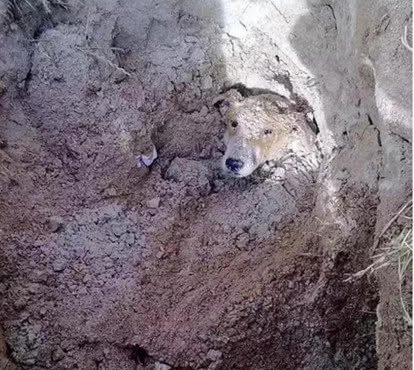 鐢蜂汉鐢ㄦ毚鍔涢┍璧舵祦娴嫍,涓轰粈涔堜繚瀹夎鎶婂悇绉嶆祦娴嫍鎵撴