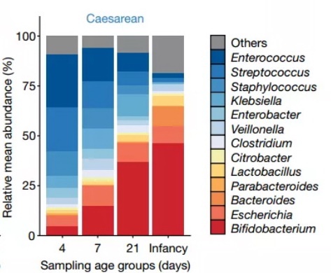 Nature发表迄今最大规模研究发现,剖宫产会影响新生儿期的肠道菌群构成,但会真的影响长期健康吗?
