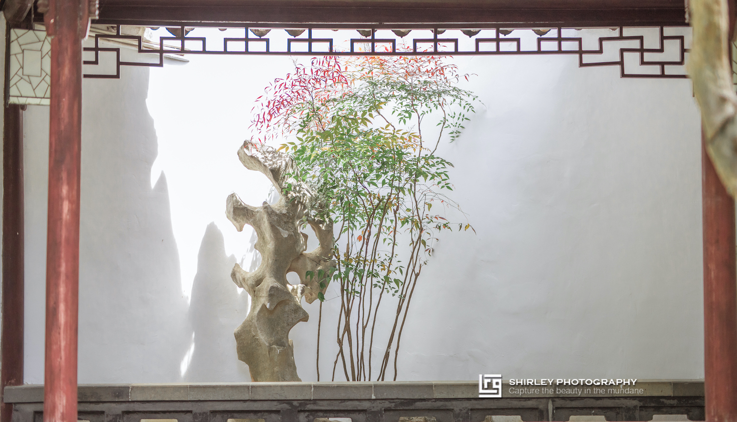 苏州旅游最不能错过的江南园林,留园拙政园是苏州著名的园林