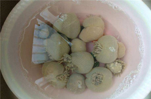 沙蒜吃多了有什么坏处,吃沙蒜的好处和坏处