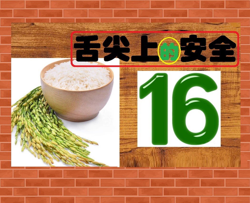 舌尖上的安全感悟,舌尖上的安全全册