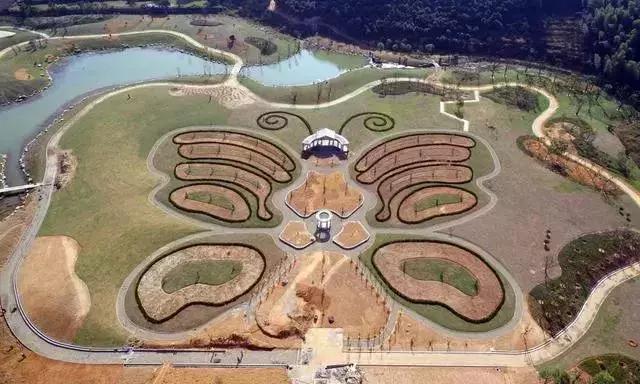 田园综合体的温室大棚，怎么做更有价值