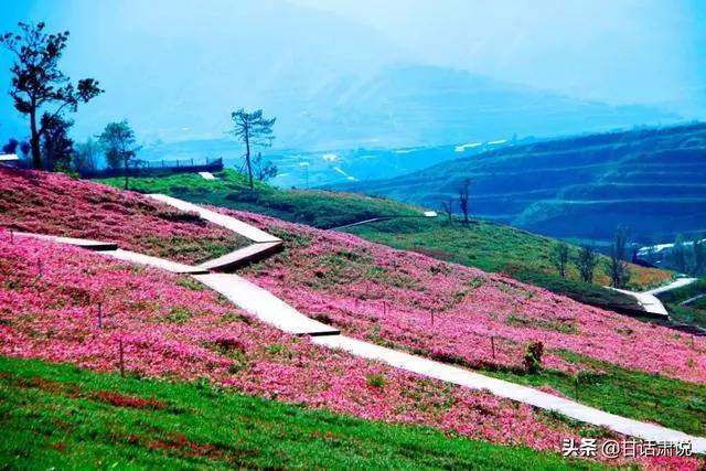 榆中有什么,榆中是哪