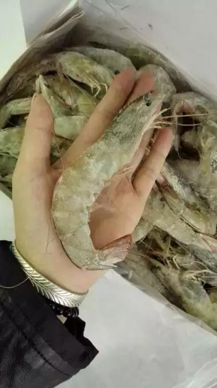 俄罗斯紫皮糖9块9包邮,俄罗斯紫皮糖哪家店便宜