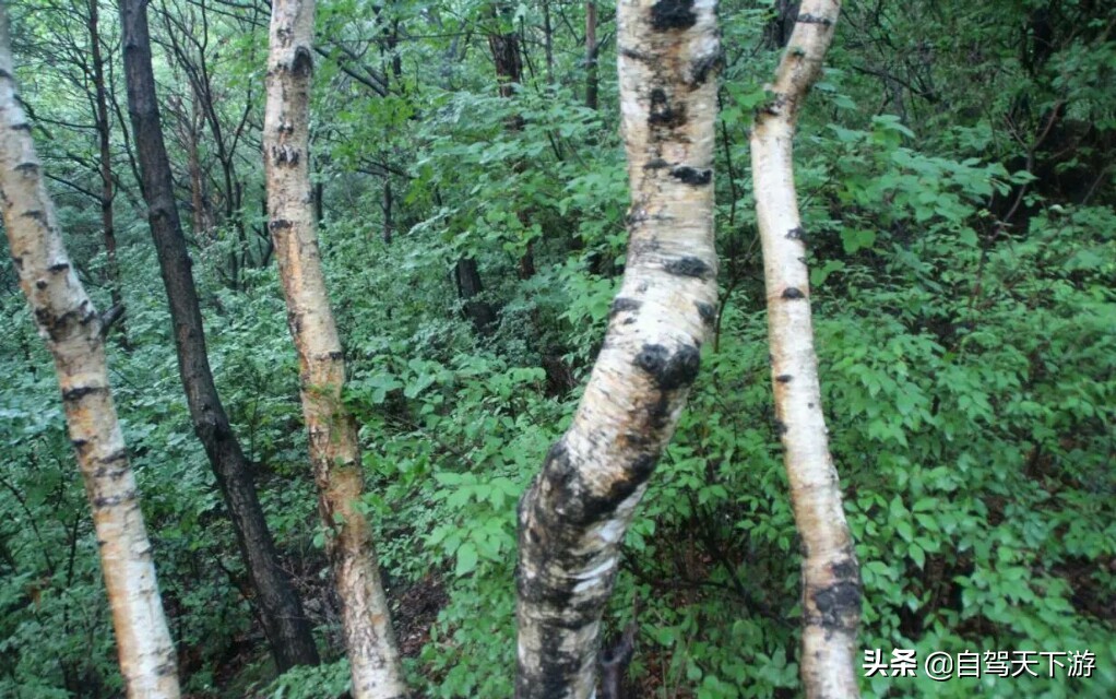 河北保定野三坡最值得去的景点,野三坡风景区有哪些著名景点
