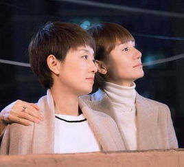 重温我的前半生贺涵罗子君,重温我的前半生