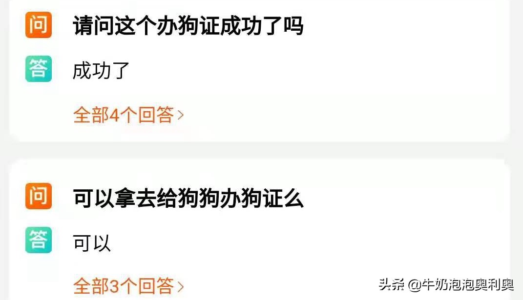 买猫需要疫苗证,买猫咪的时候有疫苗证吗