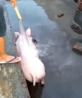 高铁可以在前一个站坐车么,高铁坐过站出得去吗