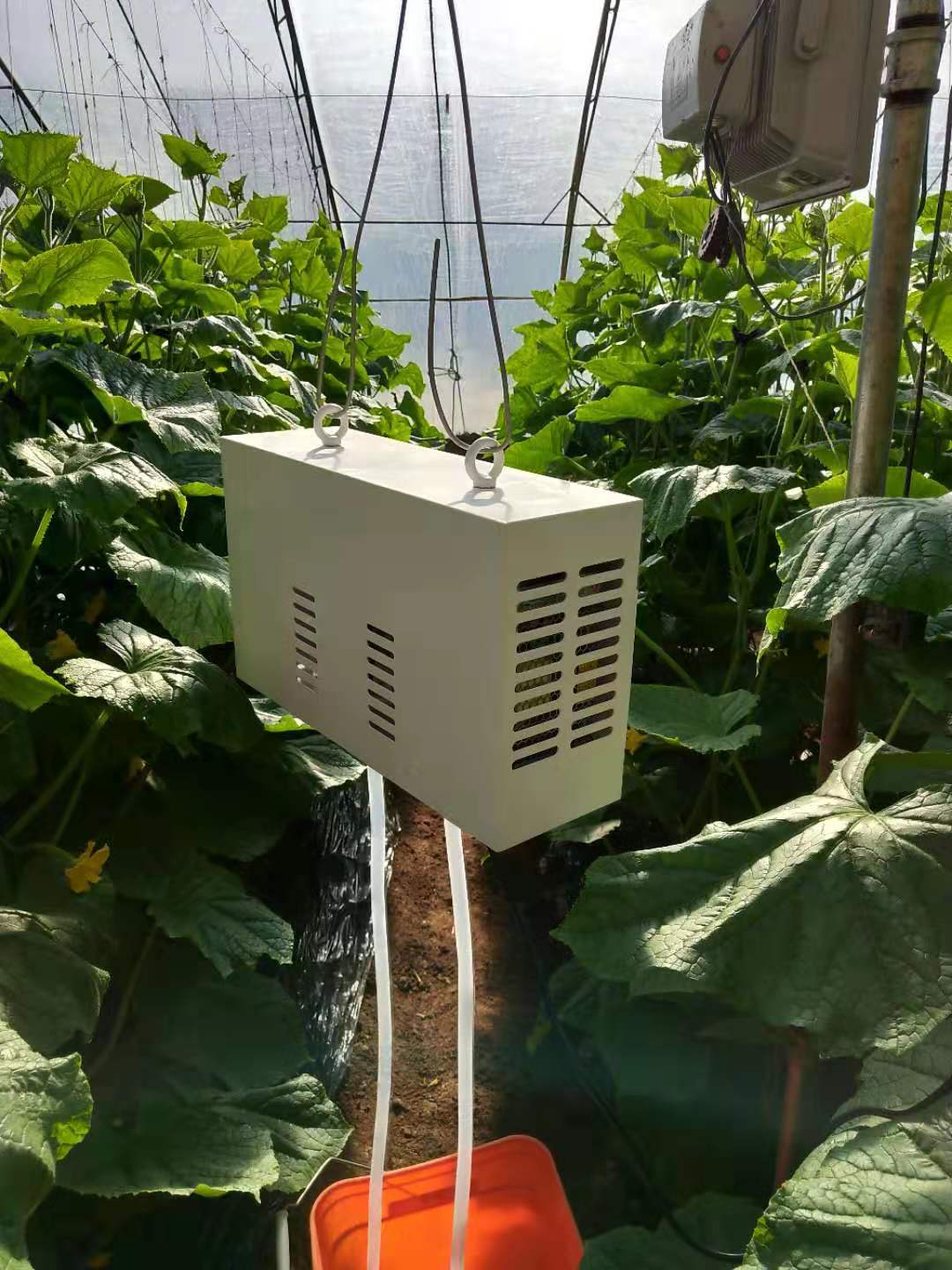 新型农村养殖大棚建造,专业建养殖大棚小伙