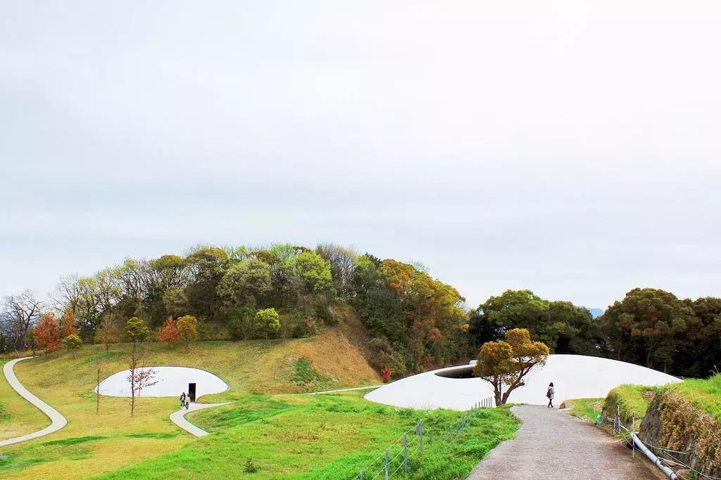 当景观遇上设计,当景观植物遇见灯光