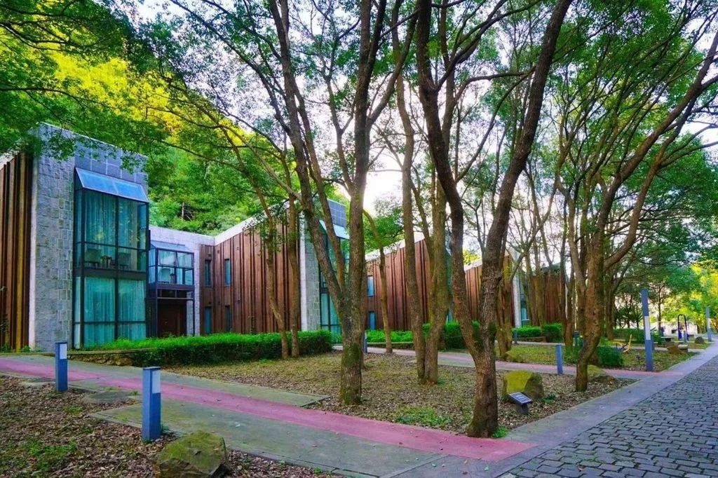 宁波看风景最好的酒店,宁波适合旅游的酒店推荐