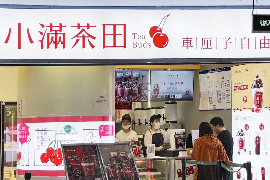 撸猫剧本杀新都,济南撸猫剧本杀