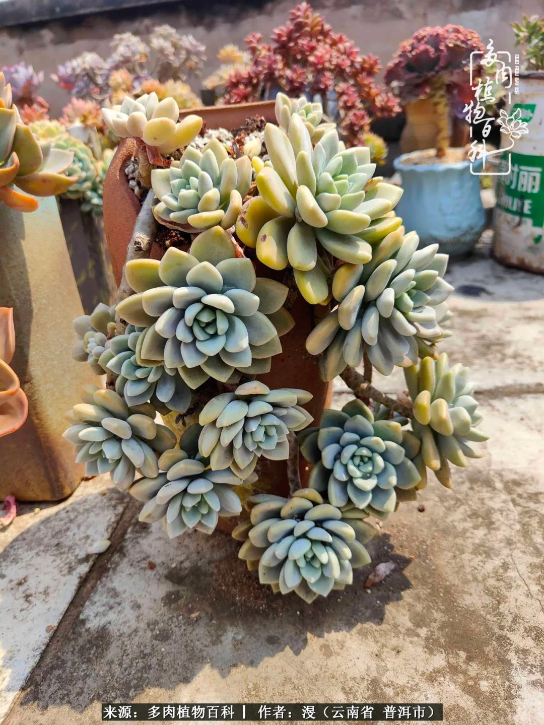 风过留痕讲的啥,风过留痕朗诵