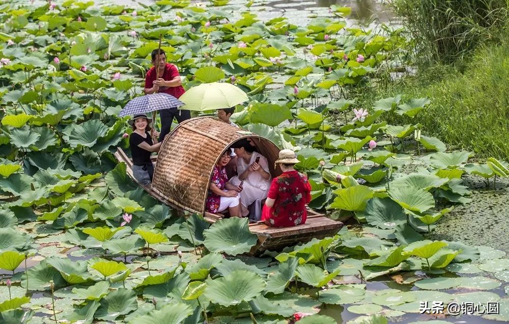 铜山，你还想怎么样