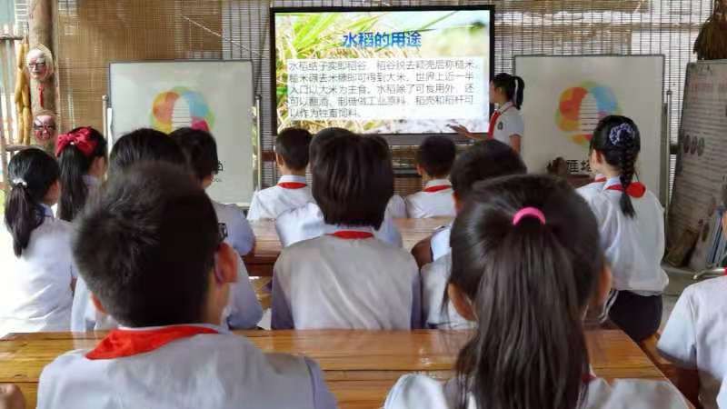 西安新优质成长学校,碑林区新优质小学