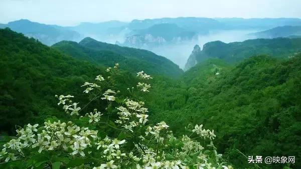 河南端午奇妙游完整版,端午节河南省内去哪旅游比较好