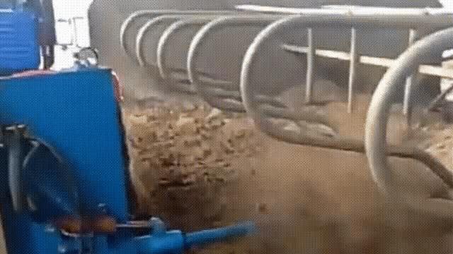 ,第三章牛场管理标准化之疾病防控