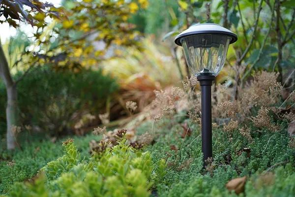 索尼a7c对比索尼6700,索尼a7c和索尼a7m3