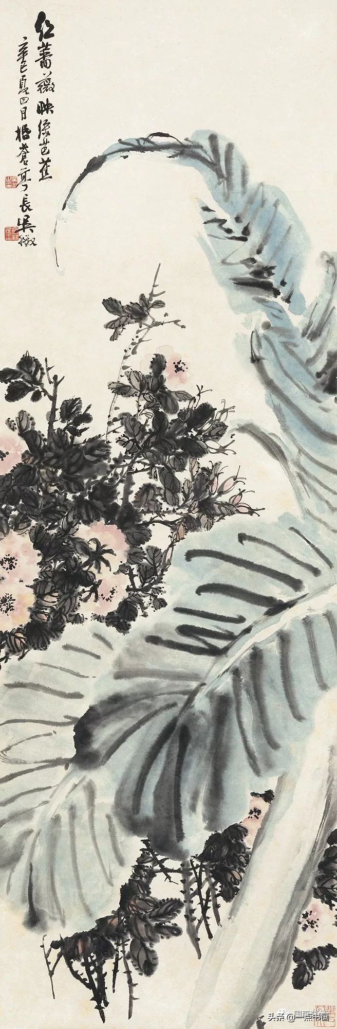 流光容易把人抛绿了芭蕉赏析,流光容易把人抛红了海棠绿了芭蕉