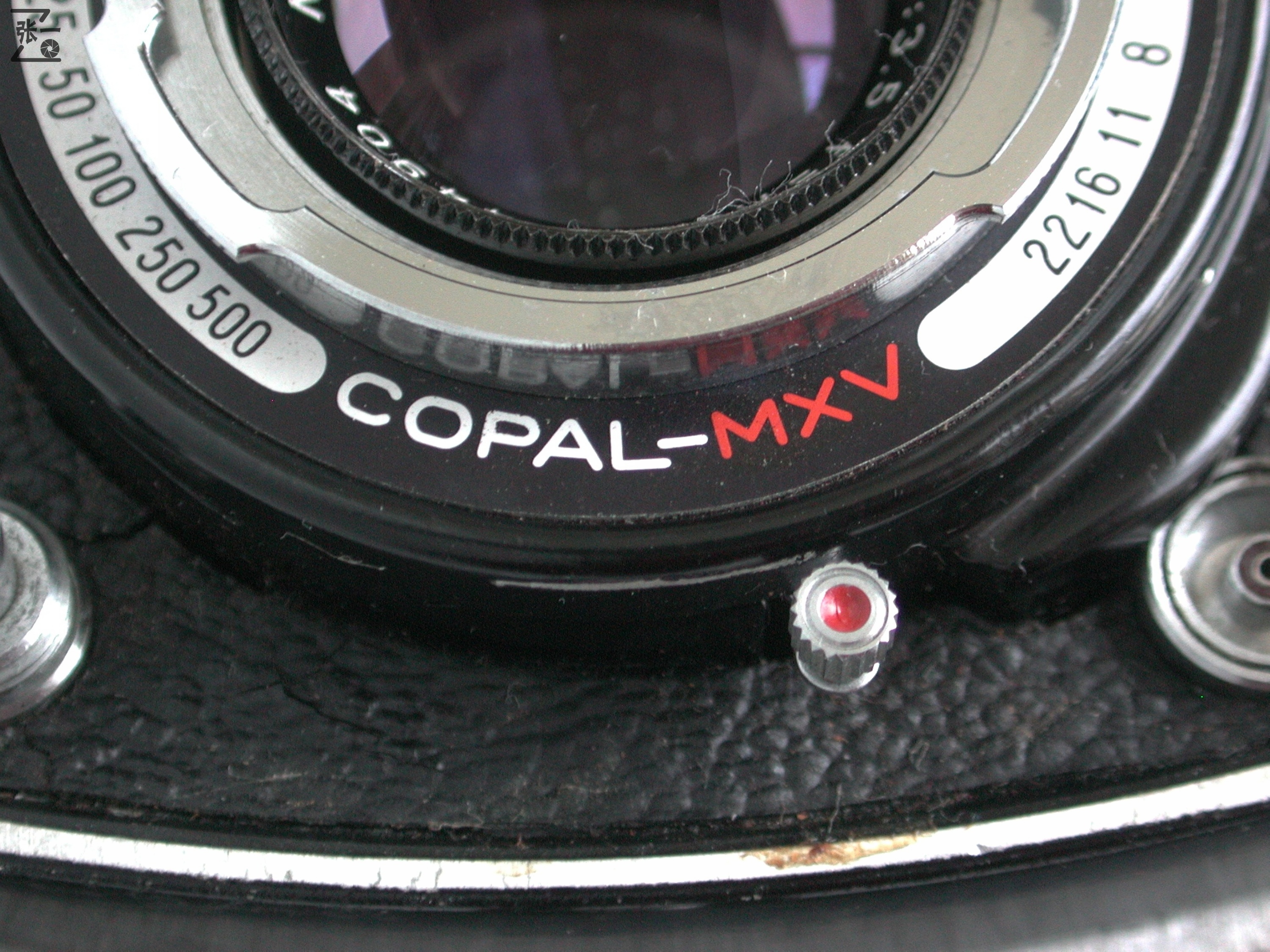 右手调焦的双反照相机：WalzflexIIIA！日本制造