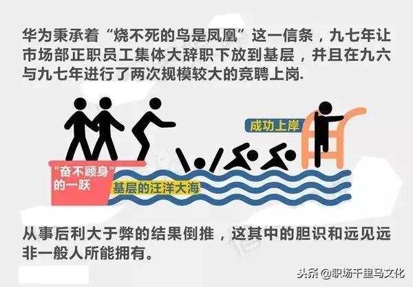 16张图看懂华为管理精华，含文化、培训、绩效、招聘等多个角度！
