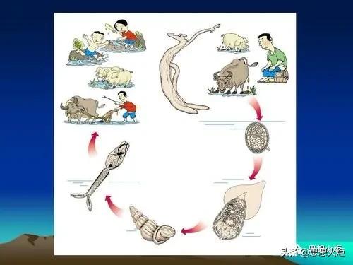 世界医疗史上的奇迹,世界抗癌史上的奇迹