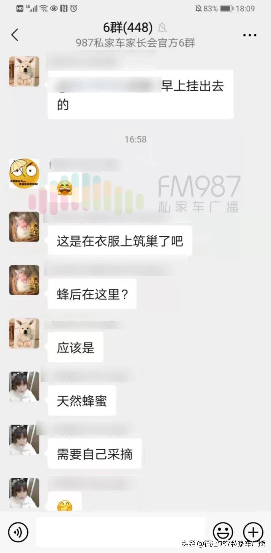 福州衣服爬满蜜蜂,福州市民晒一天衣服爬满蜜蜂