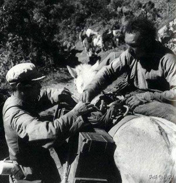 张国华评价印军:军官指挥不行,单兵能拼*刀刺**,不完全是豆腐兵