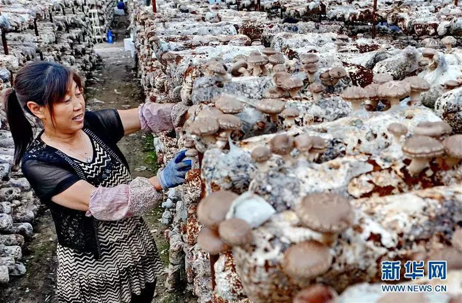 有颜值有气质才是乡村的新模样,既有颜值又有气质