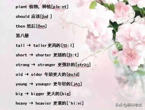 小学六年级单词音标复习,小学1-6年级必考词语