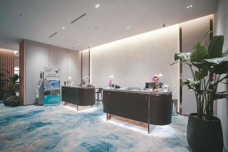 一人一猫环游,一人一猫旅行