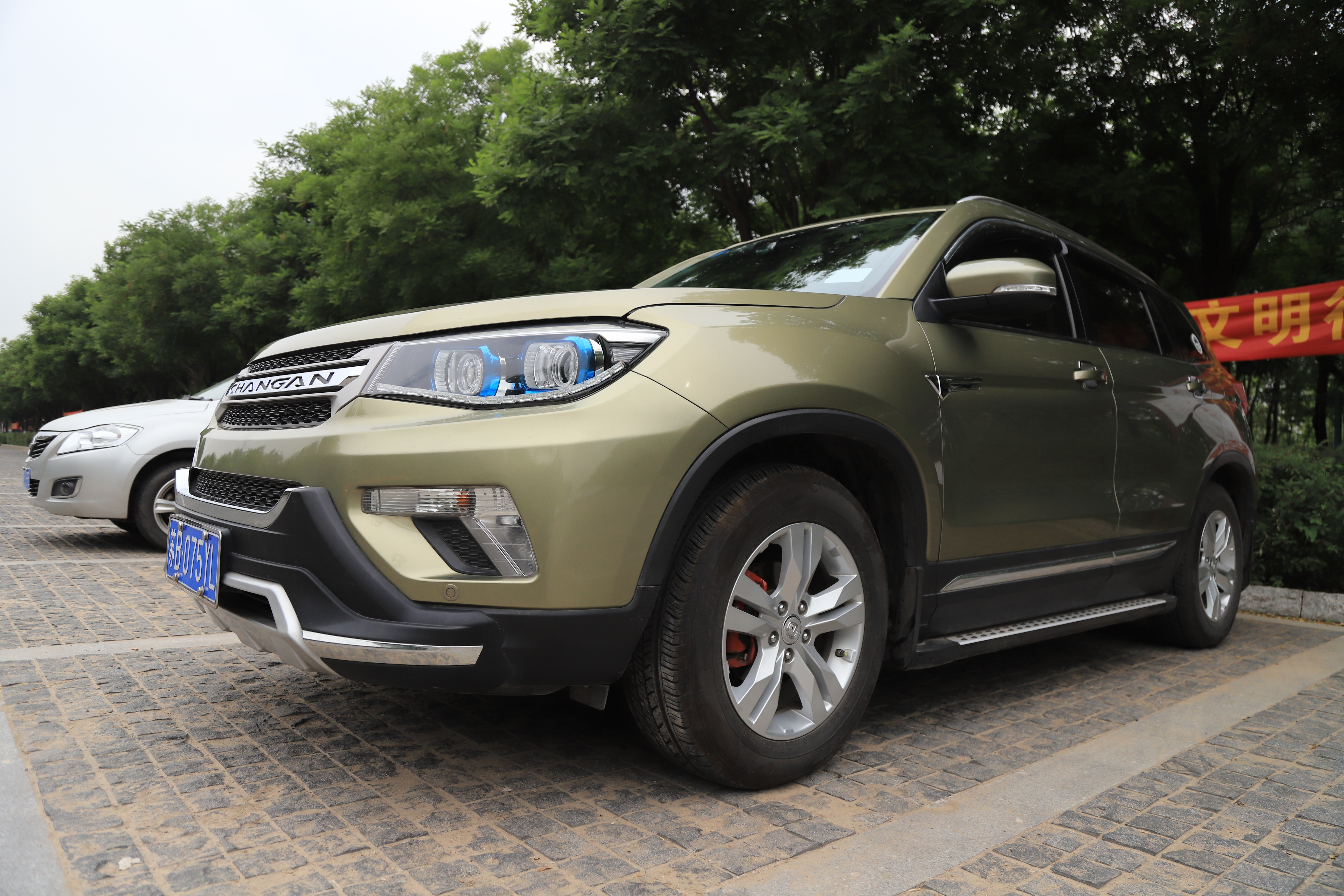 秋高气爽公园散步随拍,深秋天津的郊野公园